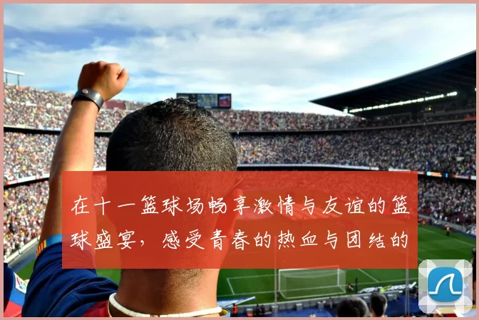 在十一篮球场畅享激情与友谊的篮球盛宴，感受青春的热血与团结的力量
